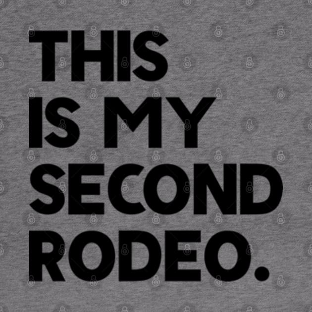 This Is My Second Rodeo by justin moore